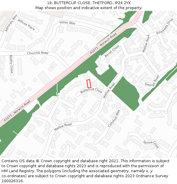 19, BUTTERCUP CLOSE, THETFORD, IP24 2YX: Location map and indicative extent of plot