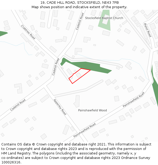 19, CADE HILL ROAD, STOCKSFIELD, NE43 7PB: Location map and indicative extent of plot