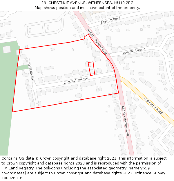 19, CHESTNUT AVENUE, WITHERNSEA, HU19 2PG: Location map and indicative extent of plot