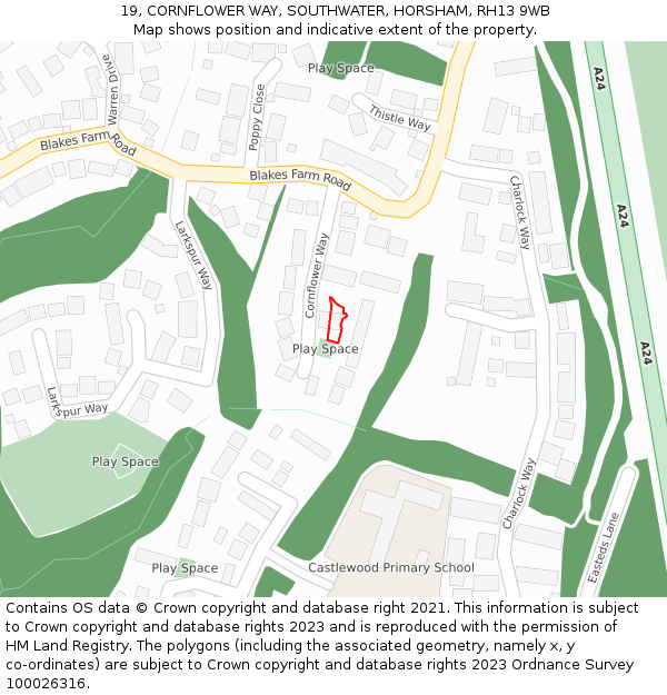 19, CORNFLOWER WAY, SOUTHWATER, HORSHAM, RH13 9WB: Location map and indicative extent of plot