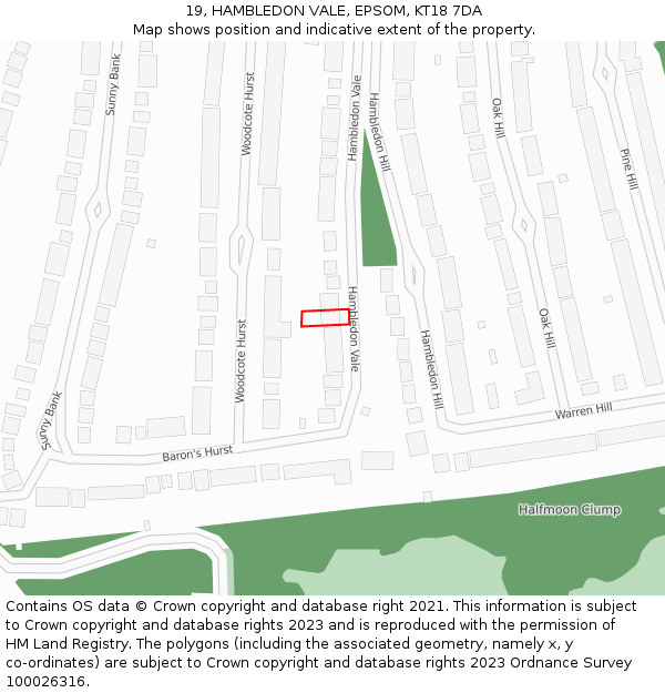 19, HAMBLEDON VALE, EPSOM, KT18 7DA: Location map and indicative extent of plot