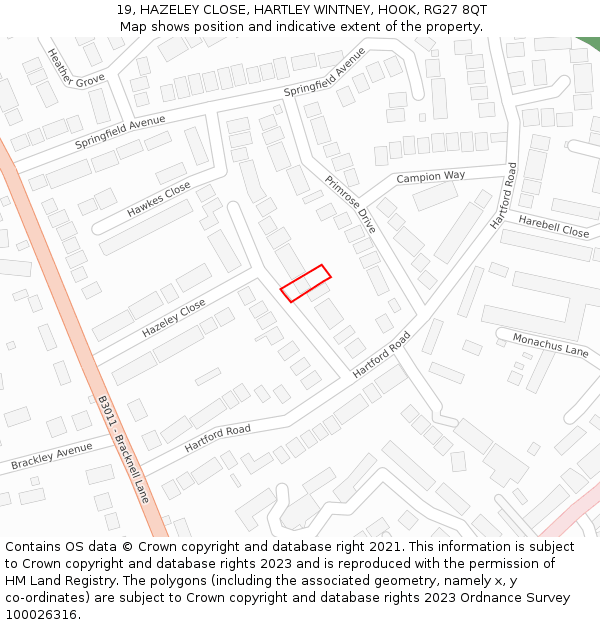 19, HAZELEY CLOSE, HARTLEY WINTNEY, HOOK, RG27 8QT: Location map and indicative extent of plot