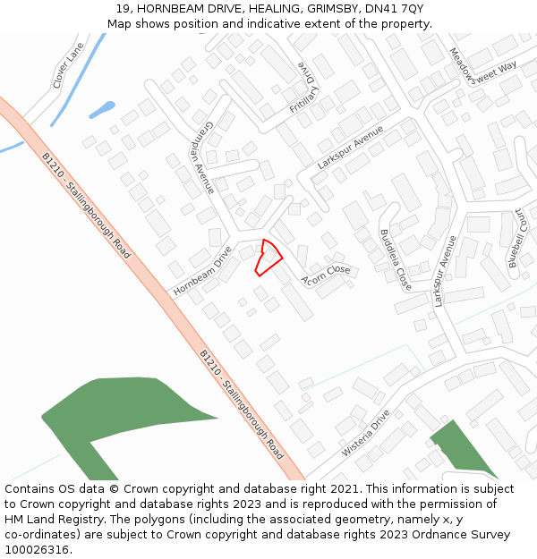 19, HORNBEAM DRIVE, HEALING, GRIMSBY, DN41 7QY: Location map and indicative extent of plot