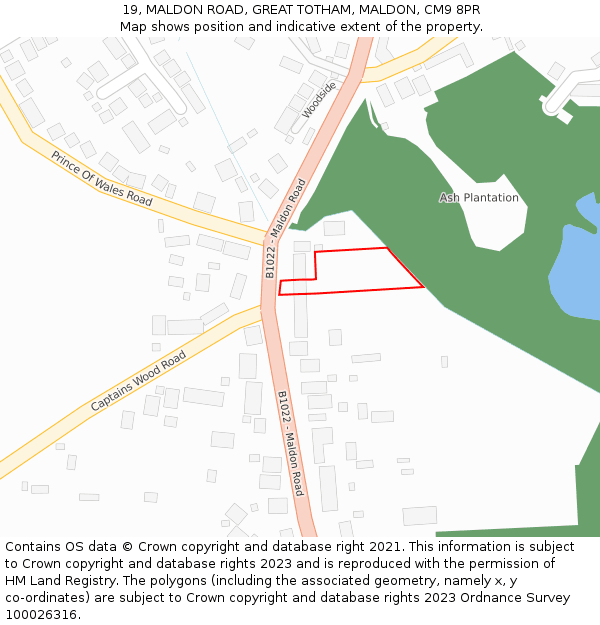 19, MALDON ROAD, GREAT TOTHAM, MALDON, CM9 8PR: Location map and indicative extent of plot