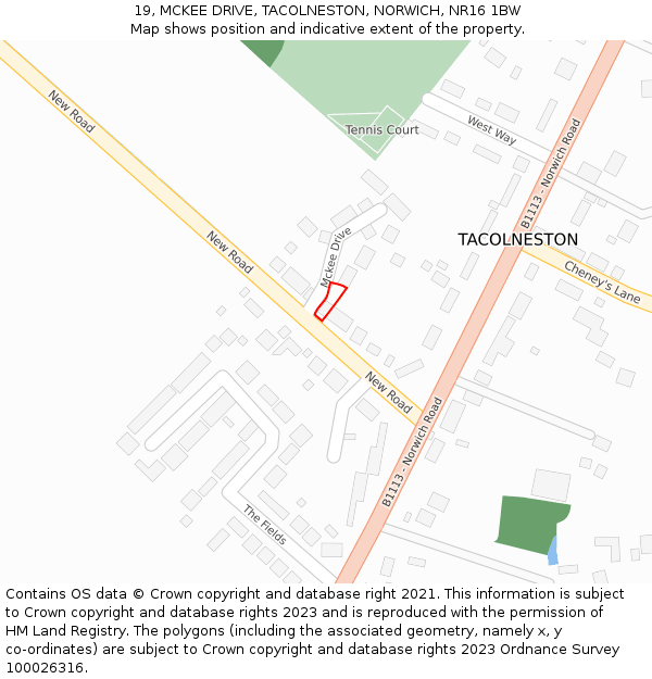 19, MCKEE DRIVE, TACOLNESTON, NORWICH, NR16 1BW: Location map and indicative extent of plot