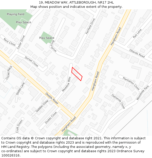 19, MEADOW WAY, ATTLEBOROUGH, NR17 2HL: Location map and indicative extent of plot
