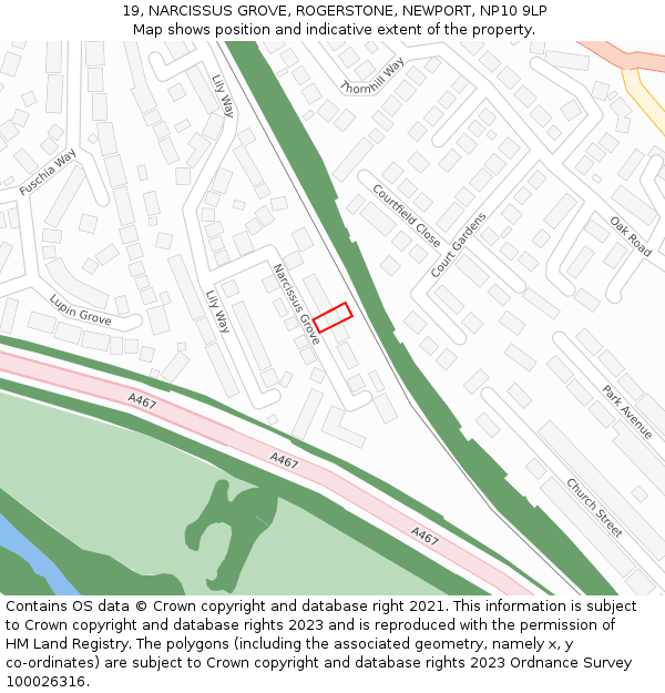 19, NARCISSUS GROVE, ROGERSTONE, NEWPORT, NP10 9LP: Location map and indicative extent of plot