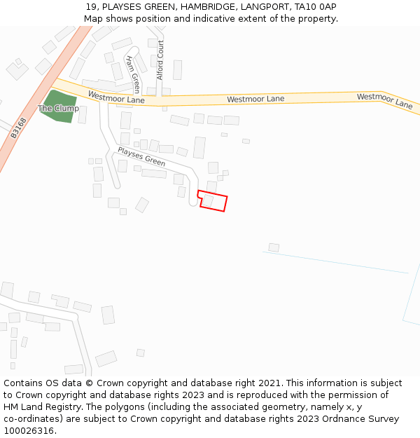 19, PLAYSES GREEN, HAMBRIDGE, LANGPORT, TA10 0AP: Location map and indicative extent of plot