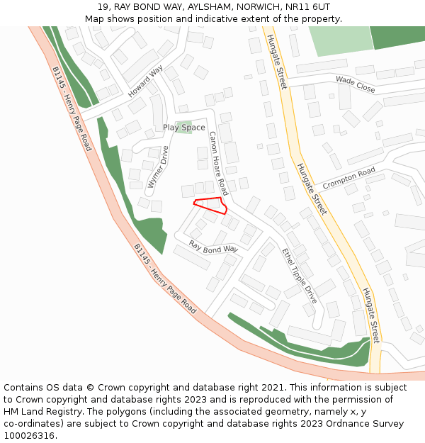 19, RAY BOND WAY, AYLSHAM, NORWICH, NR11 6UT: Location map and indicative extent of plot