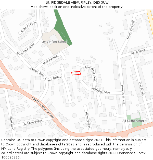19, RIDGEDALE VIEW, RIPLEY, DE5 3UW: Location map and indicative extent of plot
