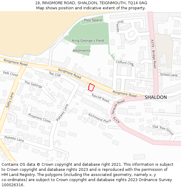 19, RINGMORE ROAD, SHALDON, TEIGNMOUTH, TQ14 0AG: Location map and indicative extent of plot