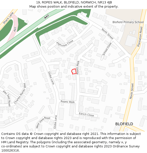 19, ROPES WALK, BLOFIELD, NORWICH, NR13 4JB: Location map and indicative extent of plot