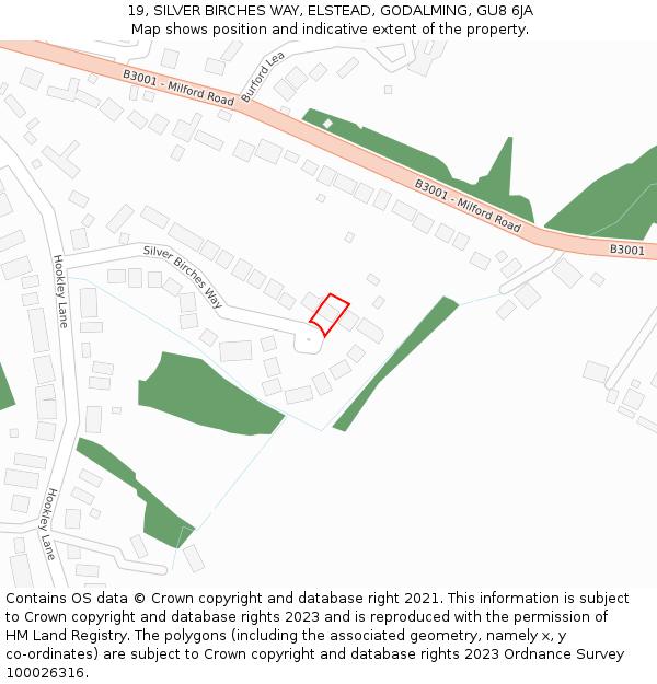 19, SILVER BIRCHES WAY, ELSTEAD, GODALMING, GU8 6JA: Location map and indicative extent of plot