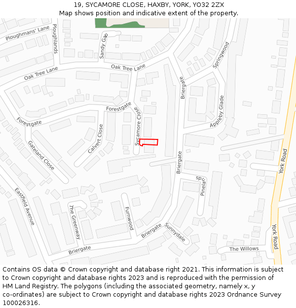 19, SYCAMORE CLOSE, HAXBY, YORK, YO32 2ZX: Location map and indicative extent of plot