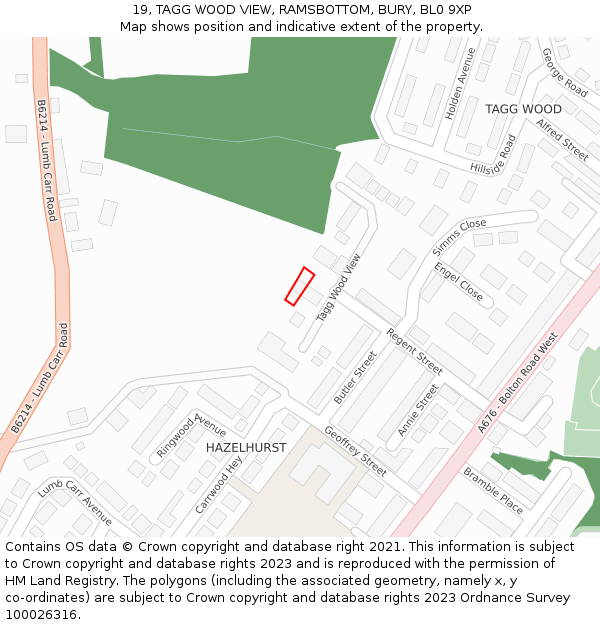 19, TAGG WOOD VIEW, RAMSBOTTOM, BURY, BL0 9XP: Location map and indicative extent of plot