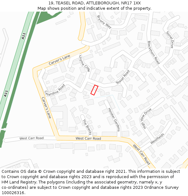 19, TEASEL ROAD, ATTLEBOROUGH, NR17 1XX: Location map and indicative extent of plot