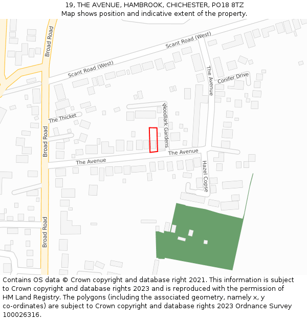 19, THE AVENUE, HAMBROOK, CHICHESTER, PO18 8TZ: Location map and indicative extent of plot