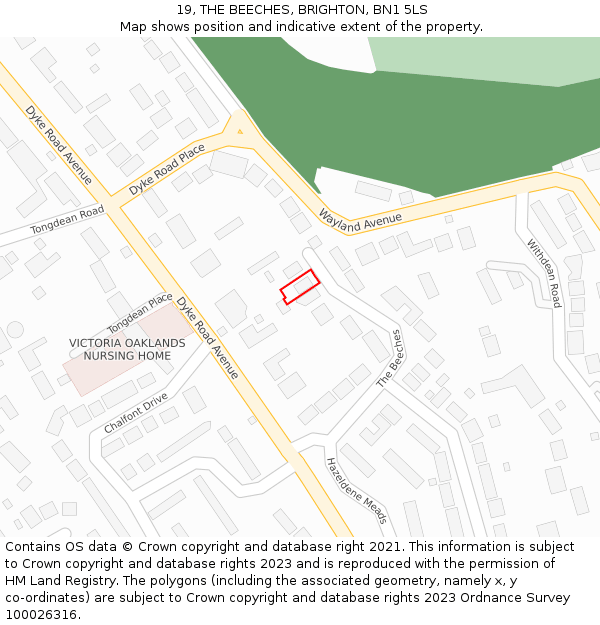 19, THE BEECHES, BRIGHTON, BN1 5LS: Location map and indicative extent of plot