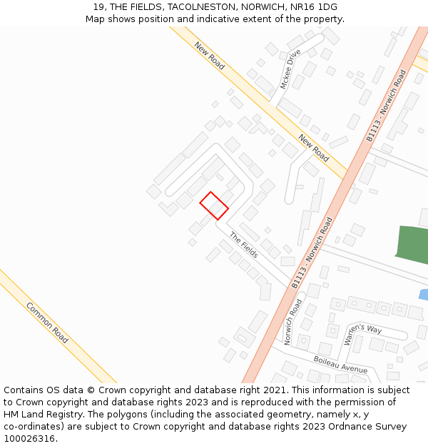 19, THE FIELDS, TACOLNESTON, NORWICH, NR16 1DG: Location map and indicative extent of plot