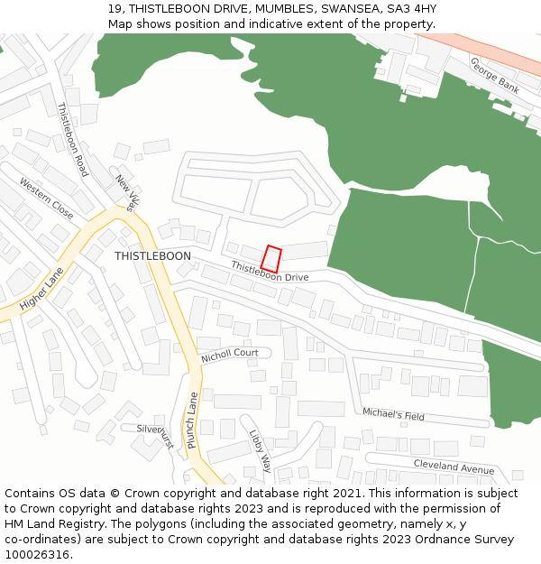 19, THISTLEBOON DRIVE, MUMBLES, SWANSEA, SA3 4HY: Location map and indicative extent of plot