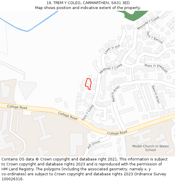 19, TREM Y COLEG, CARMARTHEN, SA31 3ED: Location map and indicative extent of plot