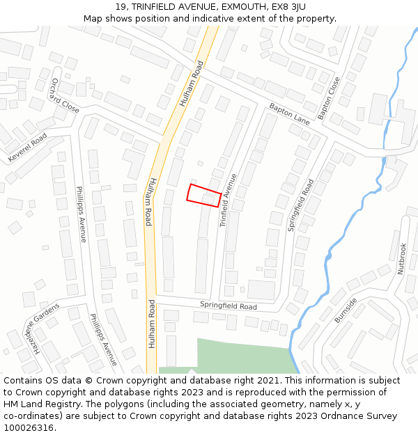 19, TRINFIELD AVENUE, EXMOUTH, EX8 3JU: Location map and indicative extent of plot