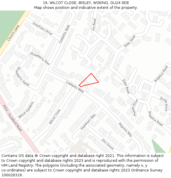 19, WILCOT CLOSE, BISLEY, WOKING, GU24 9DE: Location map and indicative extent of plot
