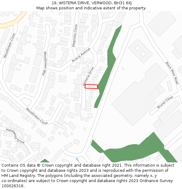 19, WISTERIA DRIVE, VERWOOD, BH31 6XJ: Location map and indicative extent of plot