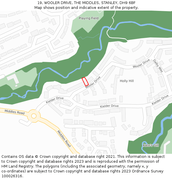 19, WOOLER DRIVE, THE MIDDLES, STANLEY, DH9 6BF: Location map and indicative extent of plot