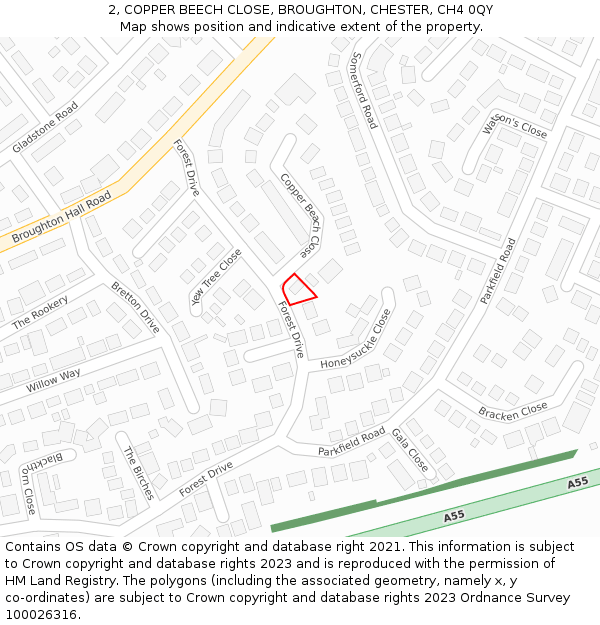 2, COPPER BEECH CLOSE, BROUGHTON, CHESTER, CH4 0QY: Location map and indicative extent of plot