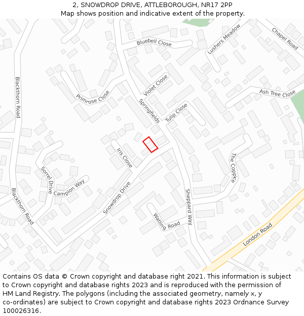 2, SNOWDROP DRIVE, ATTLEBOROUGH, NR17 2PP: Location map and indicative extent of plot