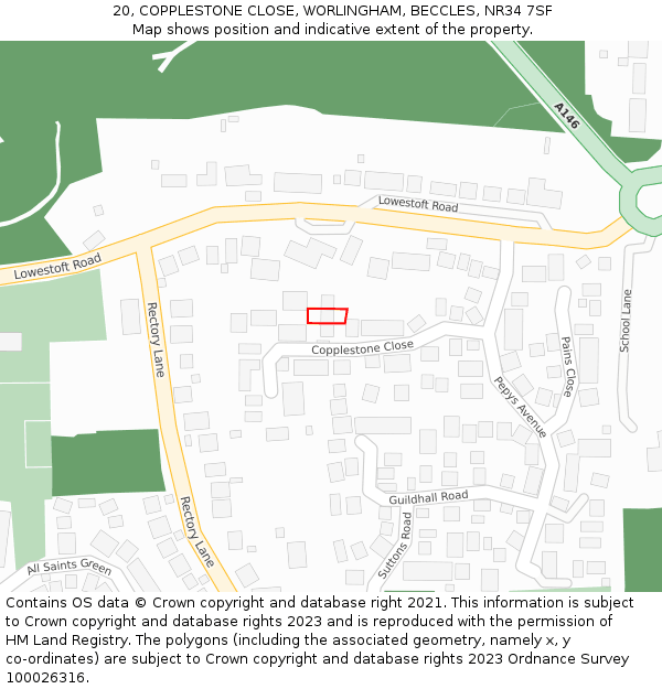 20, COPPLESTONE CLOSE, WORLINGHAM, BECCLES, NR34 7SF: Location map and indicative extent of plot