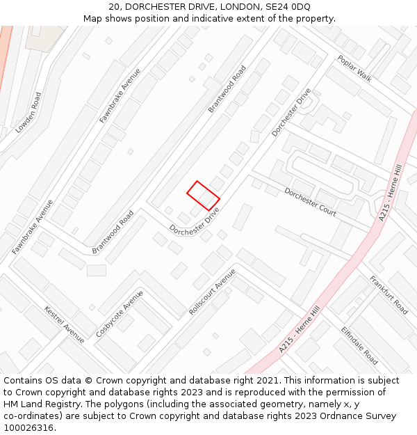 20, DORCHESTER DRIVE, LONDON, SE24 0DQ: Location map and indicative extent of plot