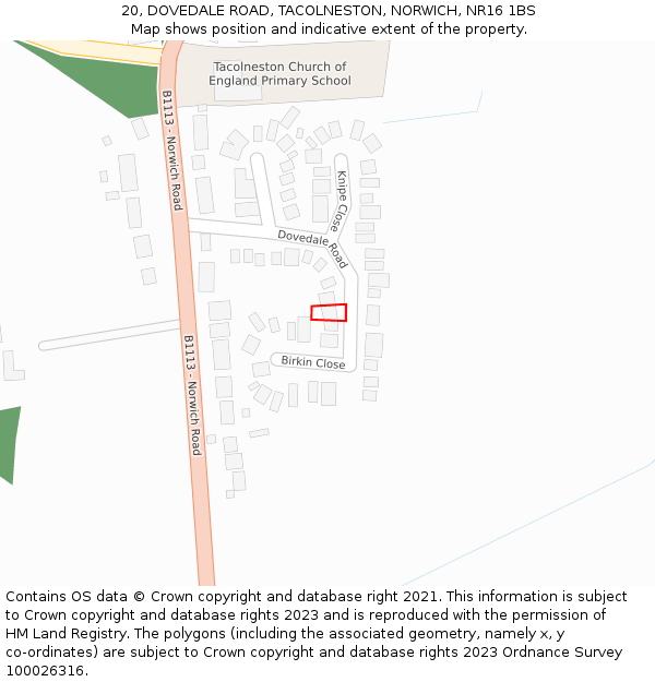 20, DOVEDALE ROAD, TACOLNESTON, NORWICH, NR16 1BS: Location map and indicative extent of plot