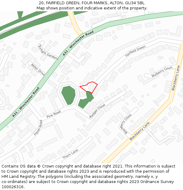 20, FAIRFIELD GREEN, FOUR MARKS, ALTON, GU34 5BL: Location map and indicative extent of plot