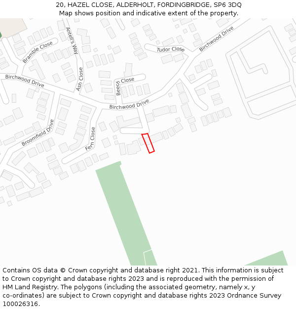 20, HAZEL CLOSE, ALDERHOLT, FORDINGBRIDGE, SP6 3DQ: Location map and indicative extent of plot