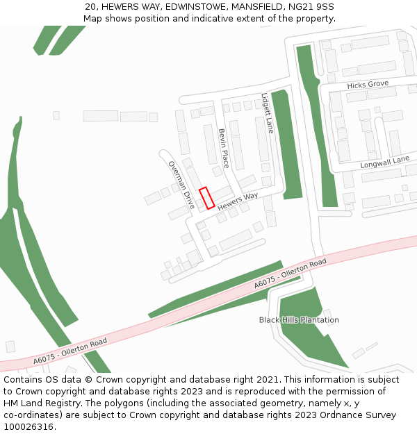 20, HEWERS WAY, EDWINSTOWE, MANSFIELD, NG21 9SS: Location map and indicative extent of plot