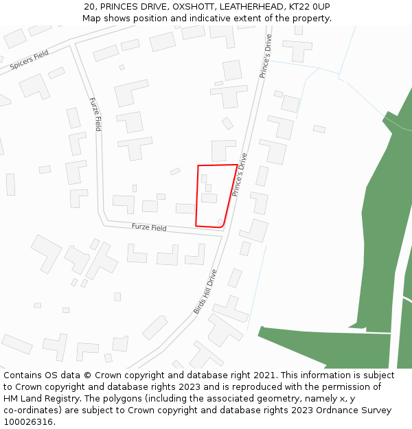 20, PRINCES DRIVE, OXSHOTT, LEATHERHEAD, KT22 0UP: Location map and indicative extent of plot