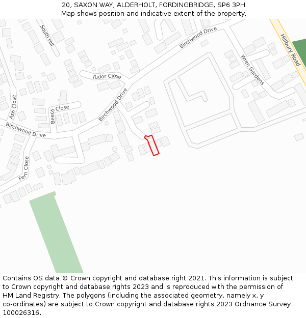 20, SAXON WAY, ALDERHOLT, FORDINGBRIDGE, SP6 3PH: Location map and indicative extent of plot