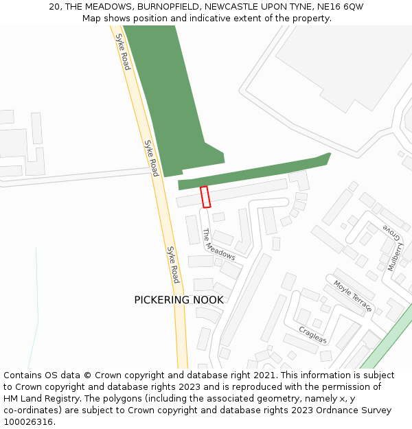 20, THE MEADOWS, BURNOPFIELD, NEWCASTLE UPON TYNE, NE16 6QW: Location map and indicative extent of plot