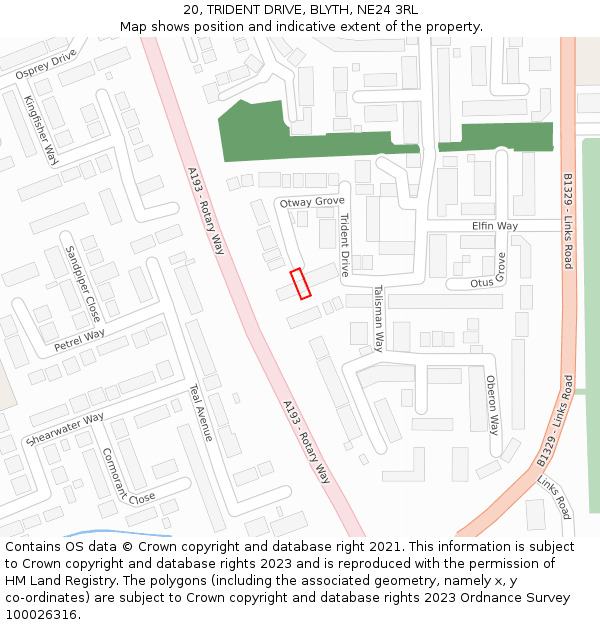 20, TRIDENT DRIVE, BLYTH, NE24 3RL: Location map and indicative extent of plot