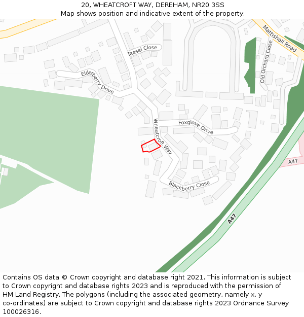 20, WHEATCROFT WAY, DEREHAM, NR20 3SS: Location map and indicative extent of plot
