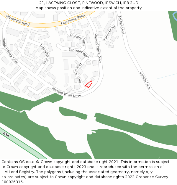 21, LACEWING CLOSE, PINEWOOD, IPSWICH, IP8 3UD: Location map and indicative extent of plot