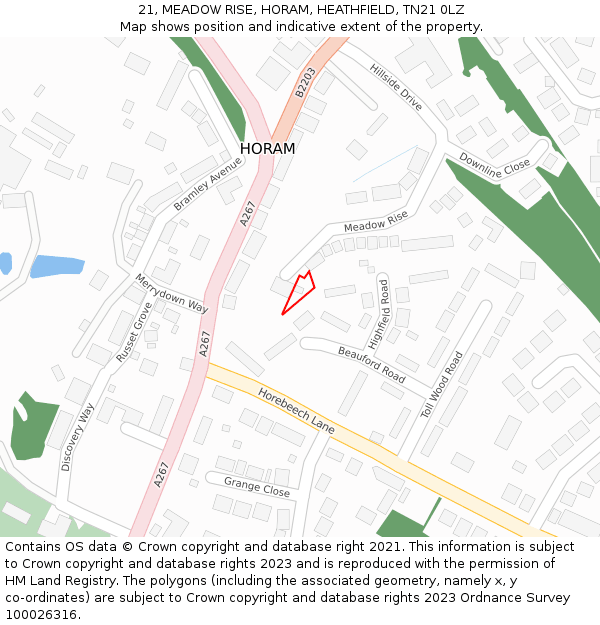 21, MEADOW RISE, HORAM, HEATHFIELD, TN21 0LZ: Location map and indicative extent of plot