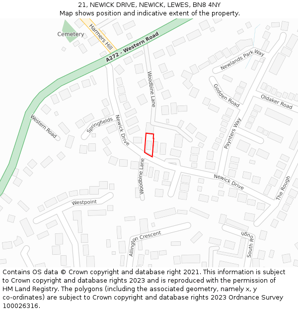 21, NEWICK DRIVE, NEWICK, LEWES, BN8 4NY: Location map and indicative extent of plot