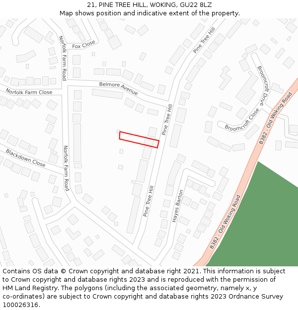 21, PINE TREE HILL, WOKING, GU22 8LZ: Location map and indicative extent of plot