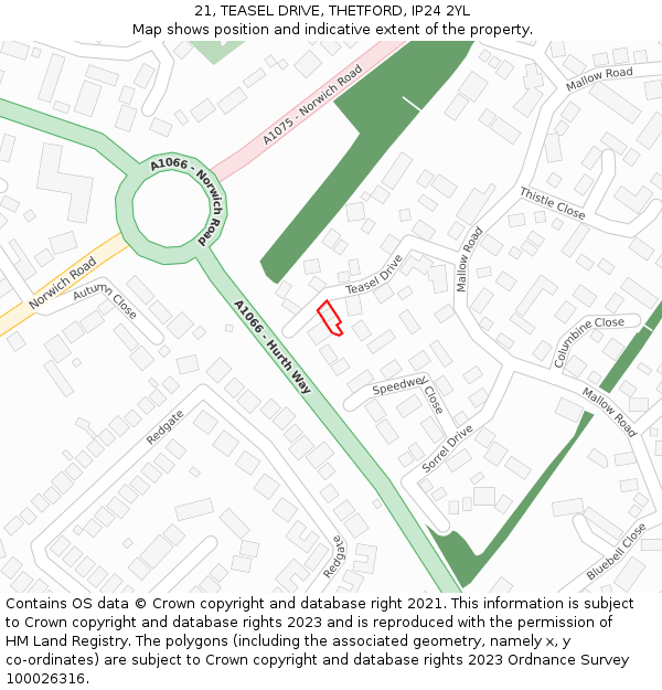 21, TEASEL DRIVE, THETFORD, IP24 2YL: Location map and indicative extent of plot