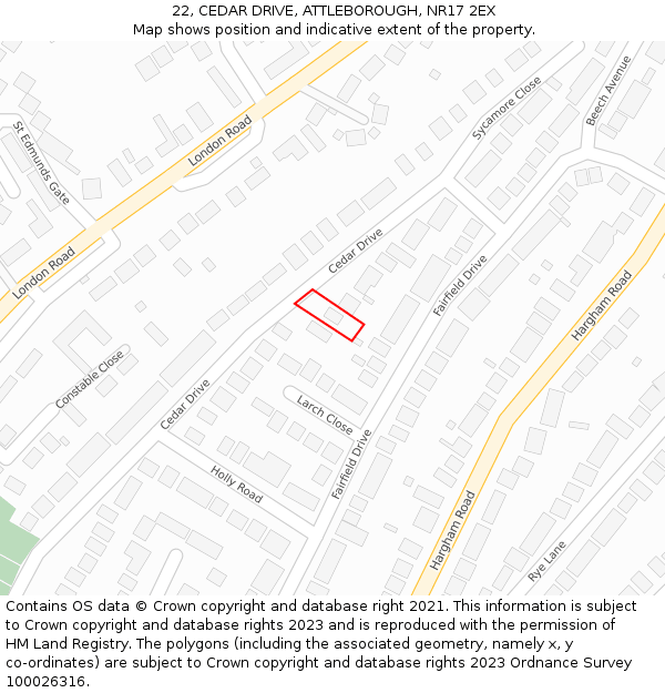 22, CEDAR DRIVE, ATTLEBOROUGH, NR17 2EX: Location map and indicative extent of plot
