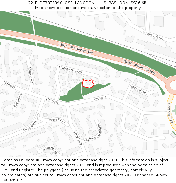 22, ELDERBERRY CLOSE, LANGDON HILLS, BASILDON, SS16 6RL: Location map and indicative extent of plot