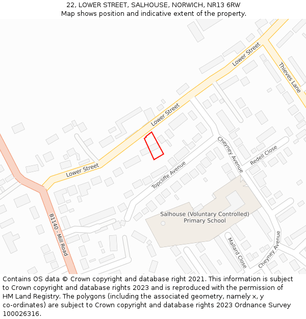 22, LOWER STREET, SALHOUSE, NORWICH, NR13 6RW: Location map and indicative extent of plot